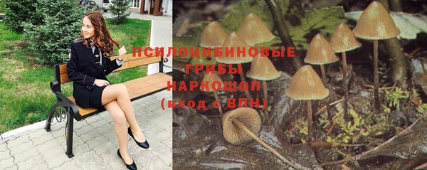 герыч Алексин