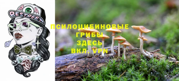 Альфа ПВП Алексеевка
