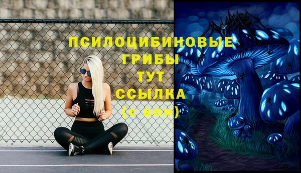 Альфа ПВП Алексеевка